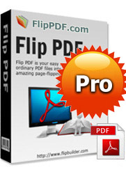 PDF to Flash Flip Book Professional